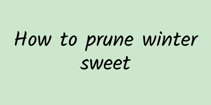 How to prune wintersweet