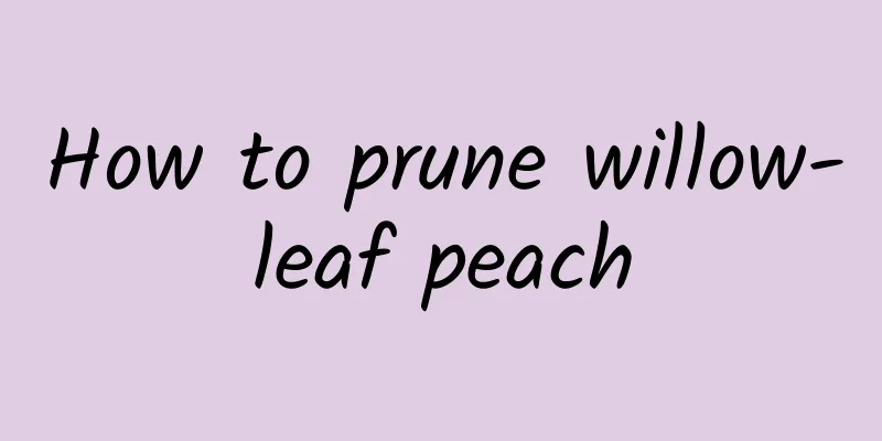 How to prune willow-leaf peach