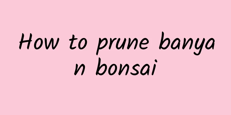 How to prune banyan bonsai