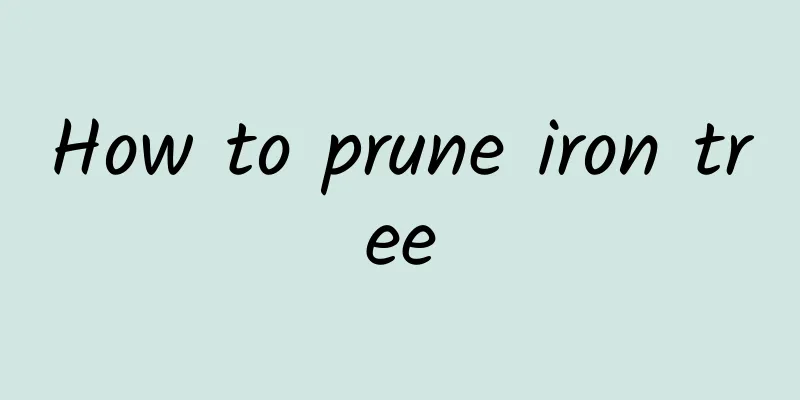 How to prune iron tree