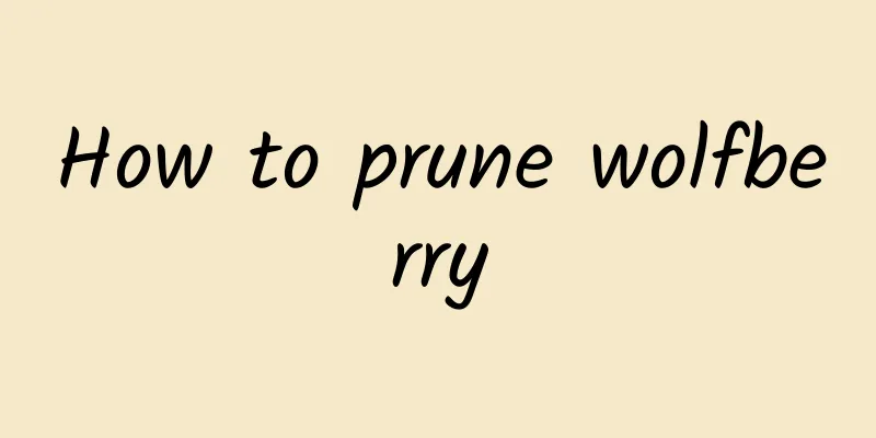 How to prune wolfberry