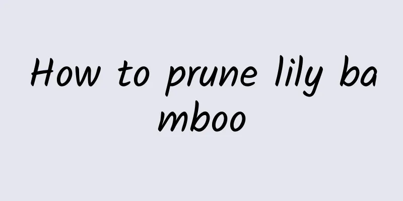 How to prune lily bamboo