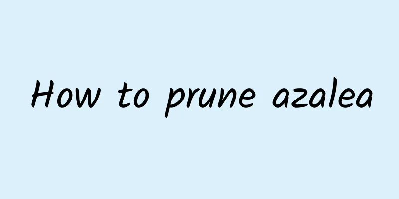 How to prune azalea
