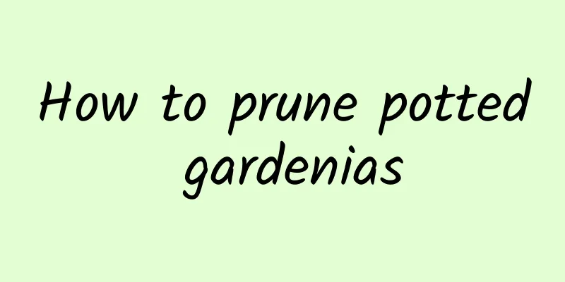 How to prune potted gardenias