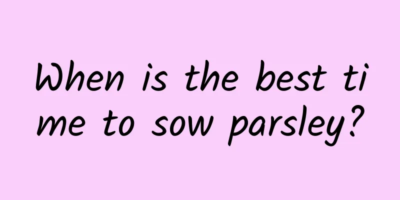 When is the best time to sow parsley?