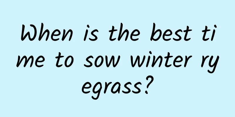 When is the best time to sow winter ryegrass?
