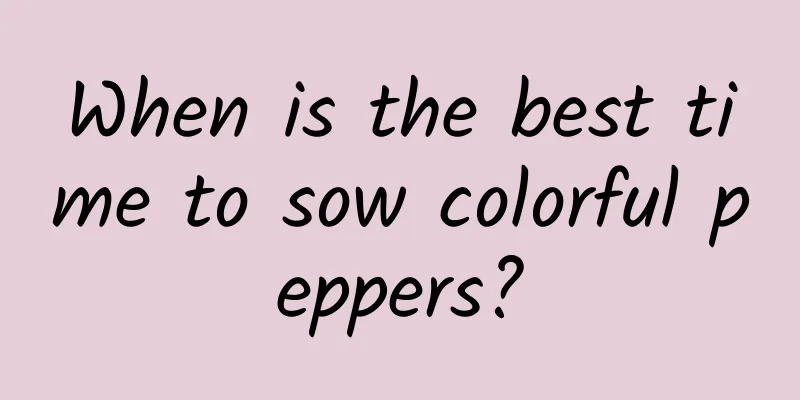 When is the best time to sow colorful peppers?