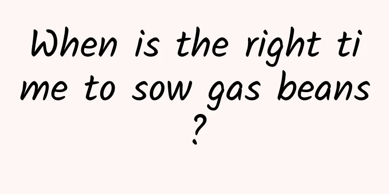 When is the right time to sow gas beans?
