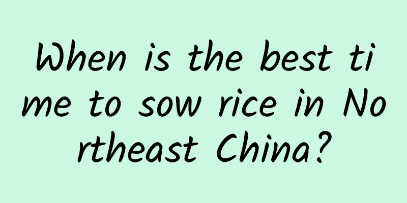 When is the best time to sow rice in Northeast China?