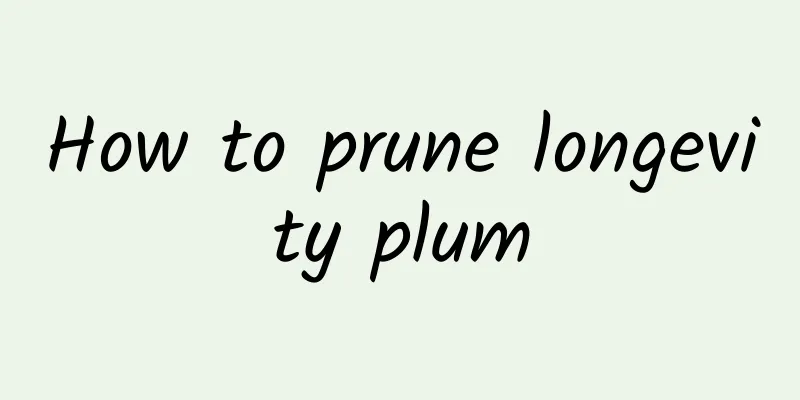 How to prune longevity plum