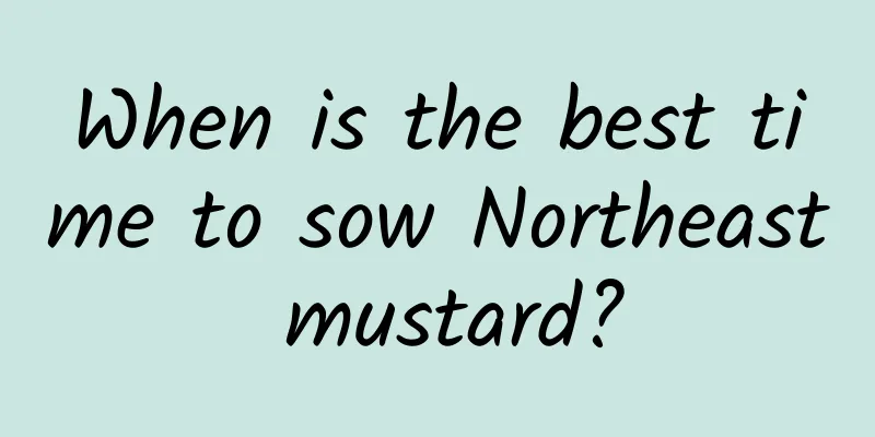 When is the best time to sow Northeast mustard?