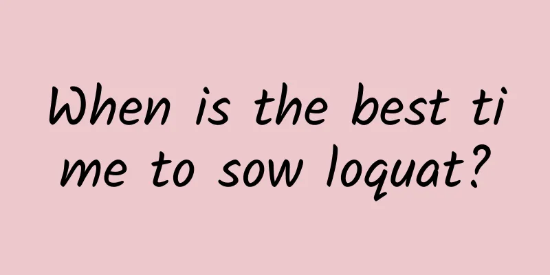 When is the best time to sow loquat?