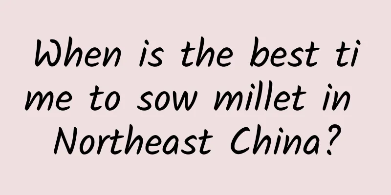 When is the best time to sow millet in Northeast China?