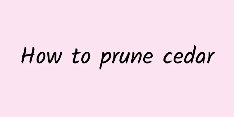 How to prune cedar