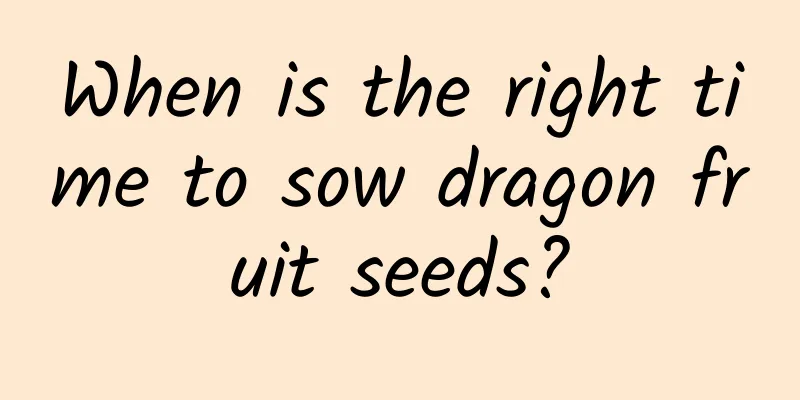 When is the right time to sow dragon fruit seeds?