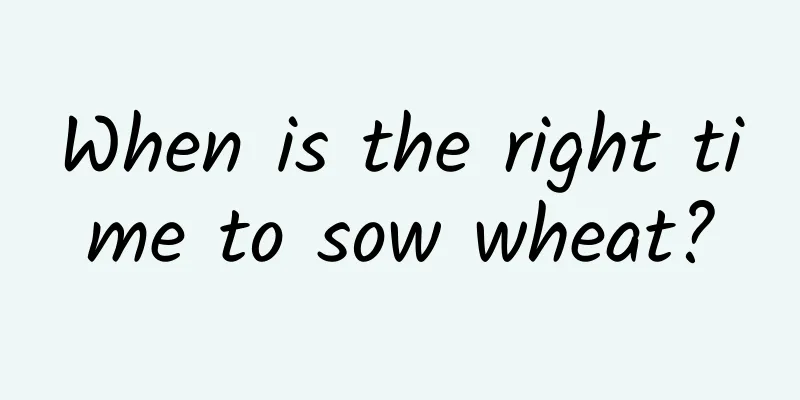When is the right time to sow wheat?
