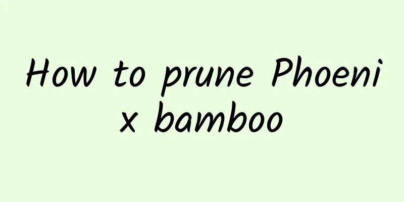 How to prune Phoenix bamboo