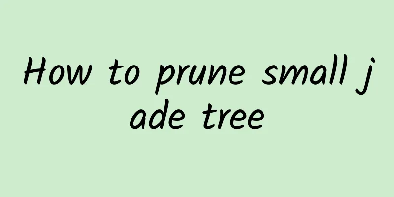 How to prune small jade tree