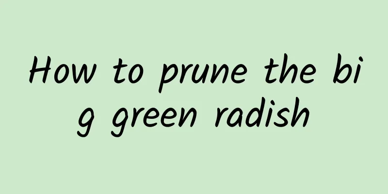 How to prune the big green radish