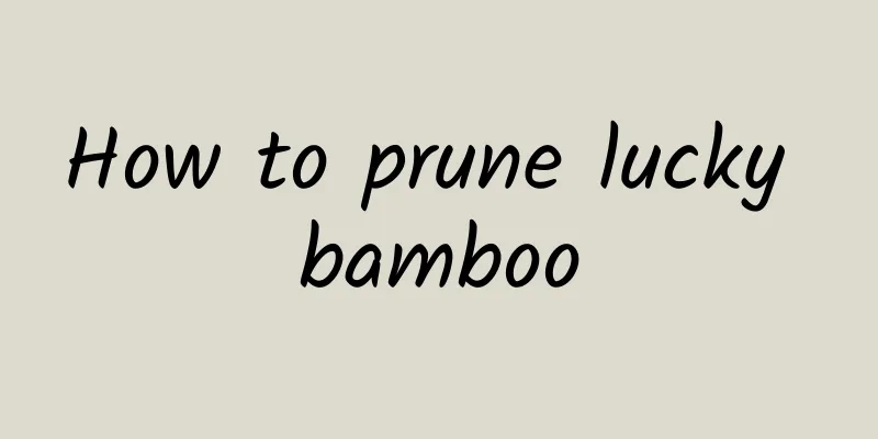How to prune lucky bamboo