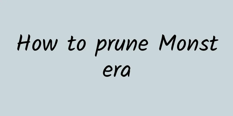 How to prune Monstera