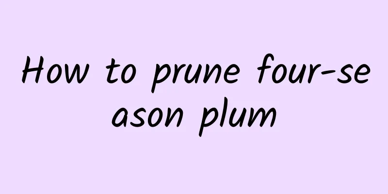 How to prune four-season plum