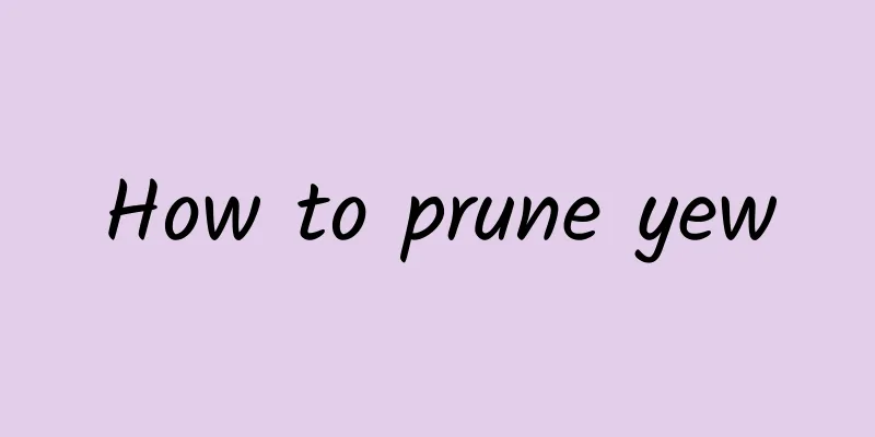 How to prune yew