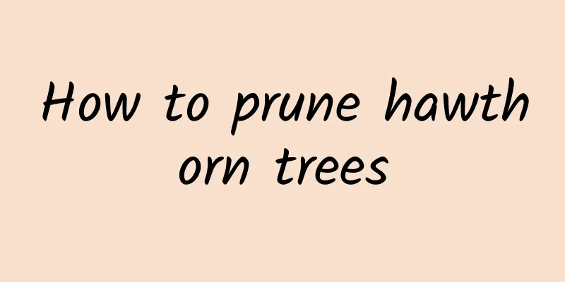 How to prune hawthorn trees