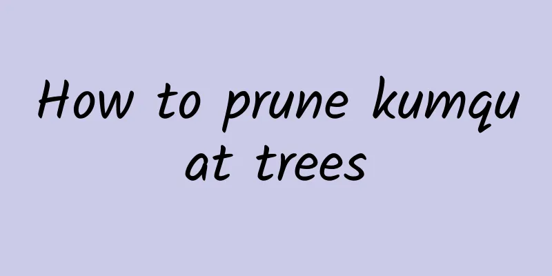 How to prune kumquat trees