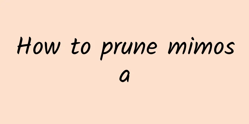 How to prune mimosa