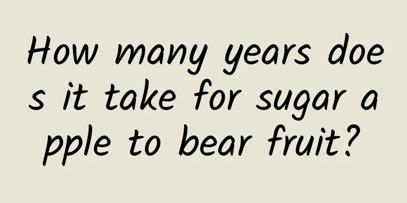 How many years does it take for sugar apple to bear fruit?