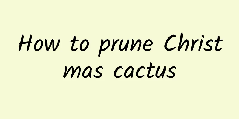 How to prune Christmas cactus
