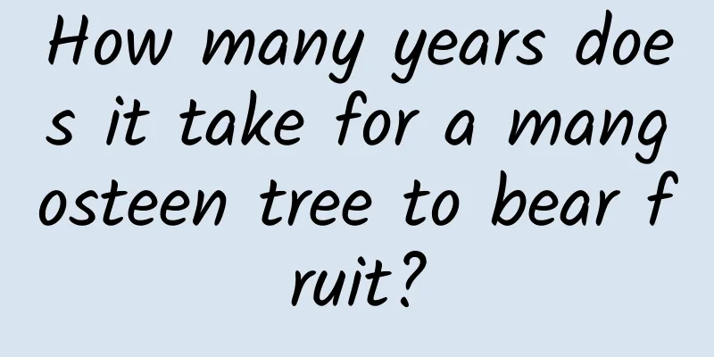 How many years does it take for a mangosteen tree to bear fruit?