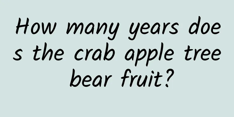 How many years does the crab apple tree bear fruit?