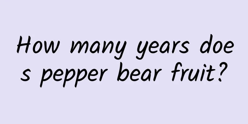 How many years does pepper bear fruit?