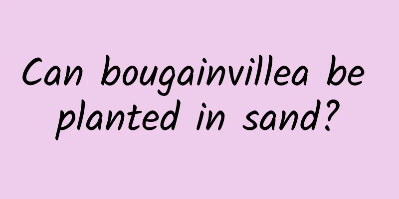 Can bougainvillea be planted in sand?