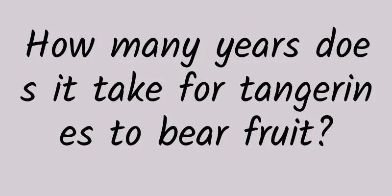 How many years does it take for tangerines to bear fruit?