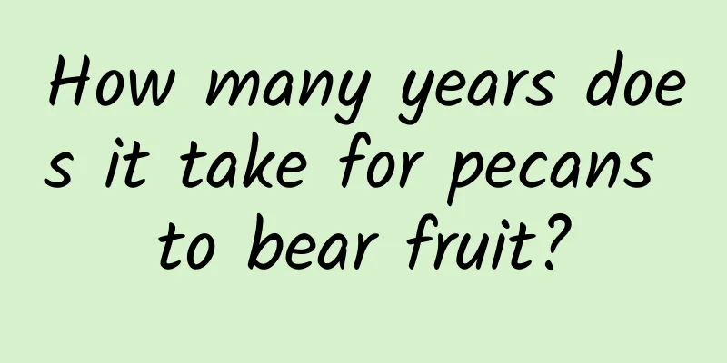 How many years does it take for pecans to bear fruit?