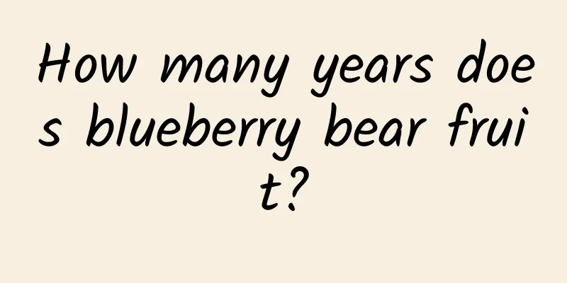 How many years does blueberry bear fruit?