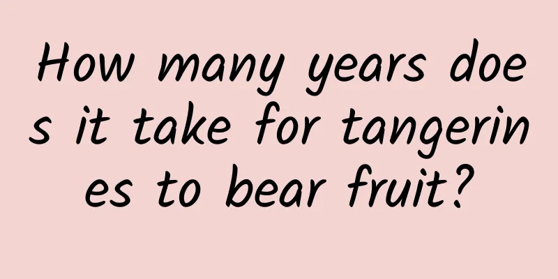 How many years does it take for tangerines to bear fruit?
