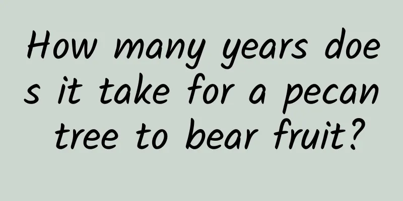 How many years does it take for a pecan tree to bear fruit?