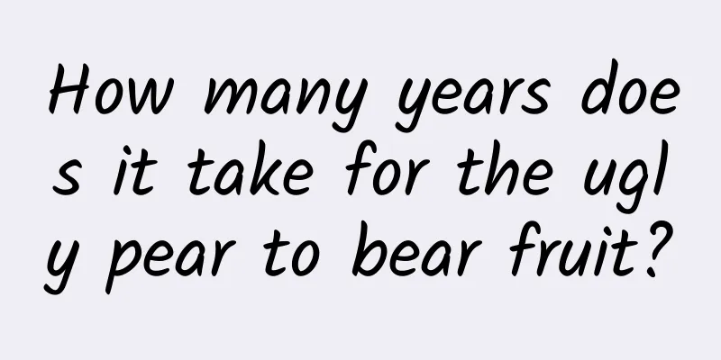 How many years does it take for the ugly pear to bear fruit?