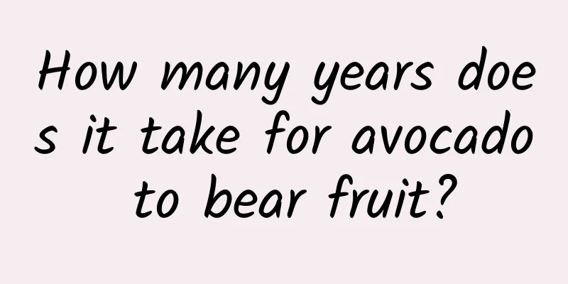How many years does it take for avocado to bear fruit?