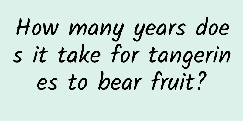 How many years does it take for tangerines to bear fruit?