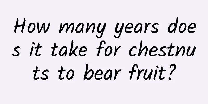 How many years does it take for chestnuts to bear fruit?