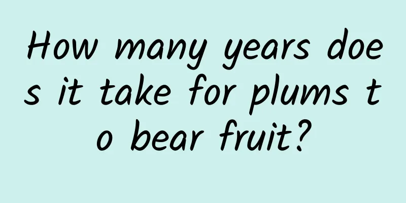 How many years does it take for plums to bear fruit?