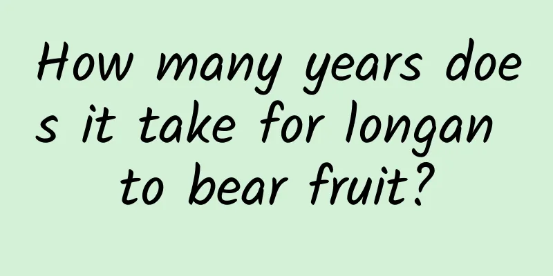 How many years does it take for longan to bear fruit?