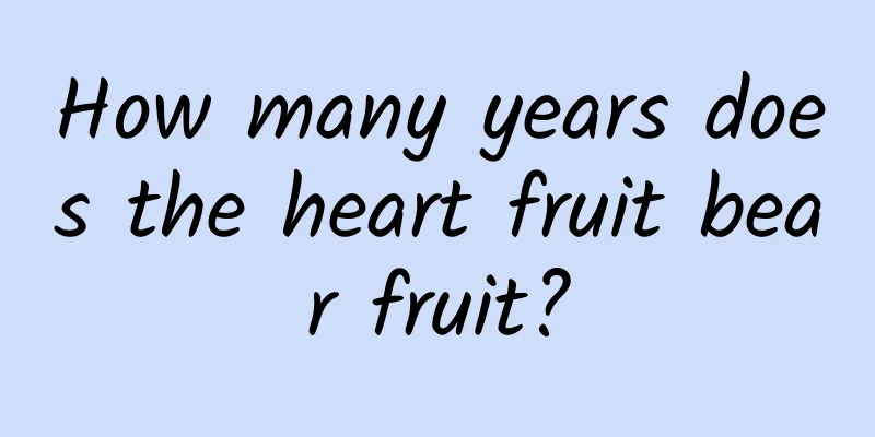 How many years does the heart fruit bear fruit?