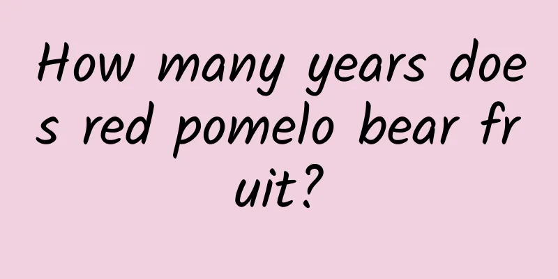 How many years does red pomelo bear fruit?
