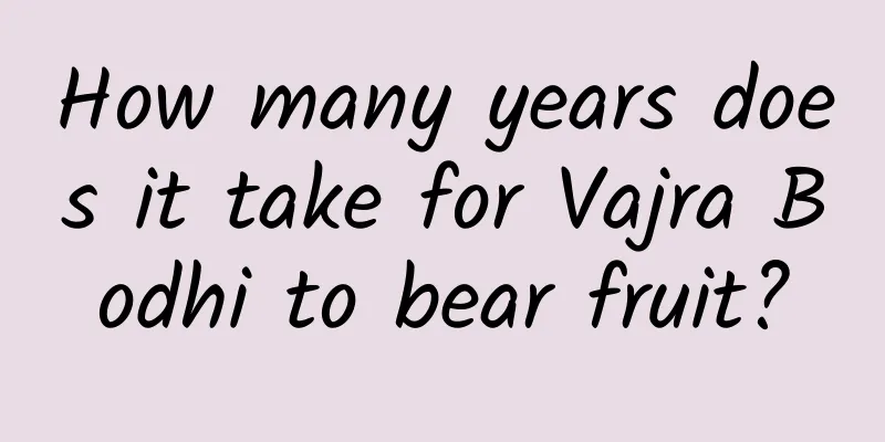 How many years does it take for Vajra Bodhi to bear fruit?